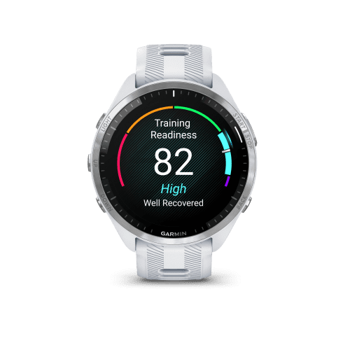 GARMIN FORERUNNER 965 WHITESTONE/POWDER GREY